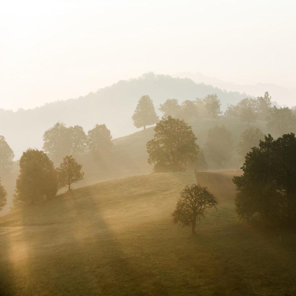 ODPRTJE RAZSTAVE_grad Podsreda_podsreda castle_photographic exhibition_3