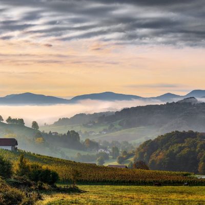 SVETOVNI DAN ZEMLJE V KOZJANSKEM PARK